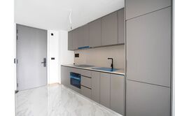 The Landmark (D3), Condominium #550529561